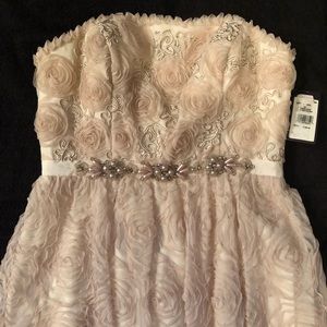 Adrianna Patel Cream Gown